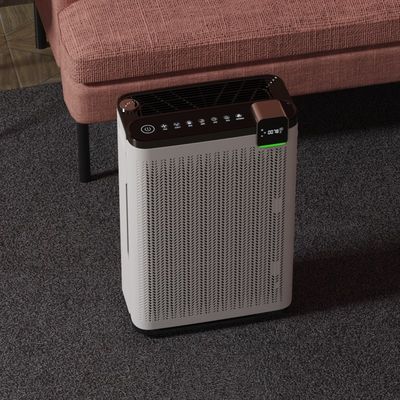 Petit filtre à oxygène actif pour animaux de compagnie Hepa Purificateur d'air