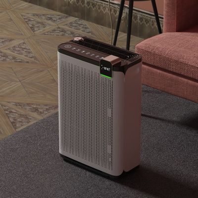 Adsorption de bureau Cheveux flottants Pet Purificateur d'air Oxygène réactif Pour animaux de compagnie