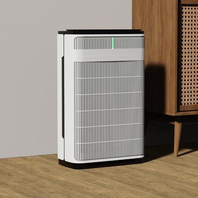 2024 nouvelle collection Hepa Filtre intelligent WIFI purificateur d'air pour animaux de compagnie Famille d'animaux